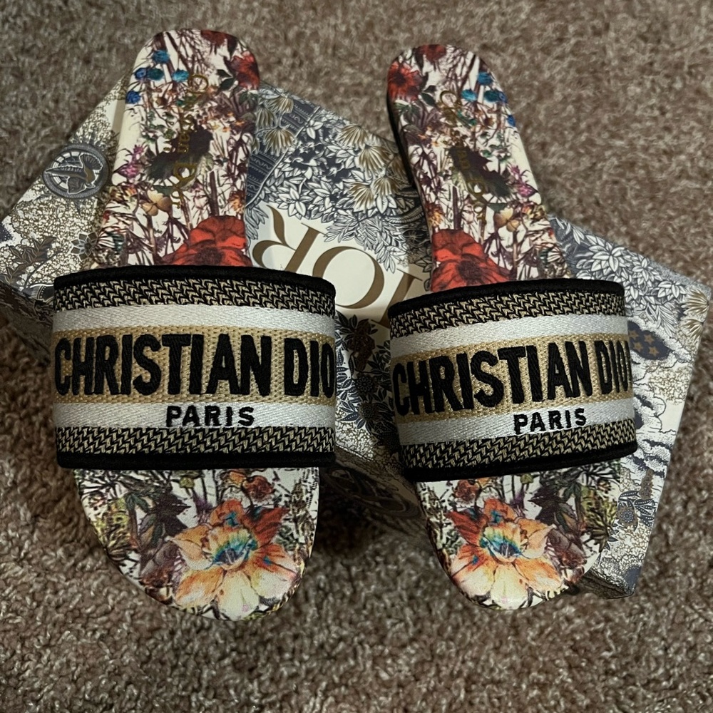 Dior slides
